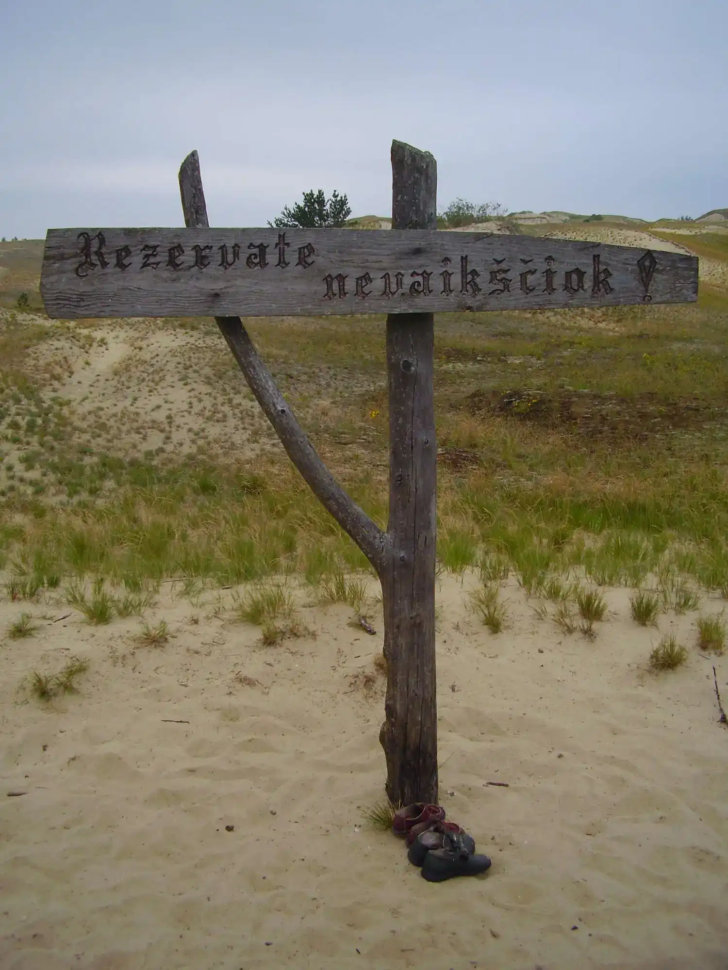 sand_dunes_in_lithuanian_curonian_spit.webp